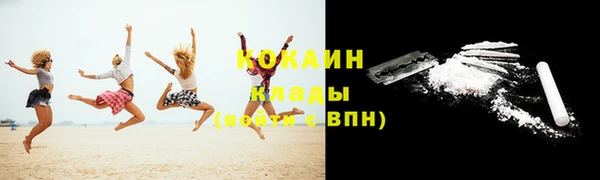 молекула духа Белокуриха