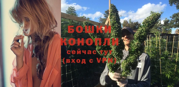 молекула духа Белокуриха
