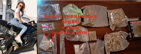 молекула духа Белокуриха
